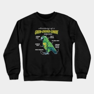 Funny Anatomy of a Green Cheek Conure Pet Bird Lover Crewneck Sweatshirt